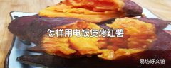 怎样用电饭煲烤红薯