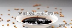 生抽和酱油有什么区别