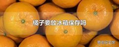 橘子要放冰箱保存吗