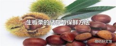 生板栗的储存与保鲜方法