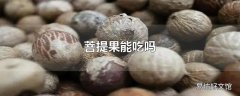 菩提果能吃吗