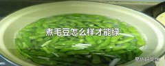 煮毛豆怎么样才能绿