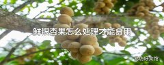 鲜银杏果怎么处理才能食用