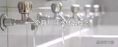 一个月10吨水什么概念