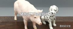 猪狗还不如是指什么