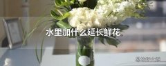 水里加什么延长鲜花