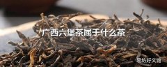 广西六堡茶属于什么茶