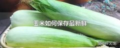 玉米如何保存最新鲜