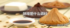 味噌是什么调料