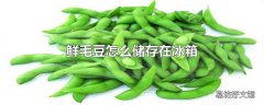 鲜毛豆怎么储存在冰箱