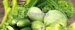 九月时令蔬菜