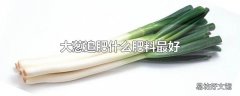 大葱追肥什么肥料最好