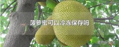 菠萝蜜可以冷冻保存吗