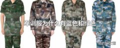 军训服为什么有蓝色和绿色