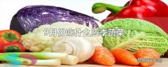 9月份吃什么应季蔬菜