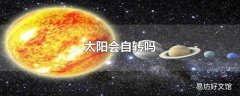 太阳会自转吗