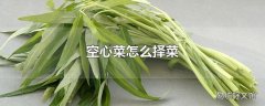 空心菜怎么择菜