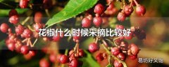 花椒什么时候采摘比较好