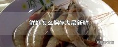 鲜虾怎么保存为最新鲜