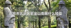 南京市玄武区紫金山南麓什么陵墓