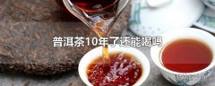 普洱茶10年了还能喝吗