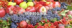 秋季时令水果