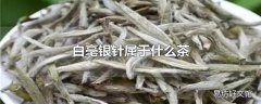 白毫银针属于什么茶