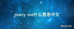 marry me什么意思中文