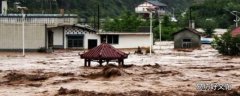 暴雨属于什么灾害