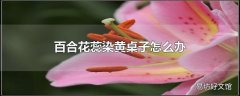 百合花蕊染黄桌子怎么办