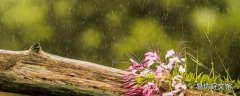 雨水量毫米是什么意思