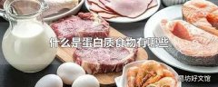 什么是蛋白质食物有哪些