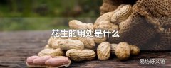 花生的用处是什么