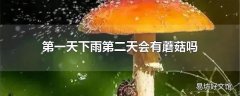 第一天下雨第二天会有蘑菇吗