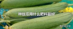 种丝瓜用什么肥料最好