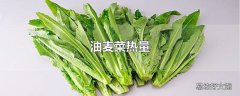 油麦菜热量