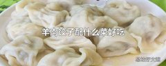 羊肉饺子配什么菜好吃