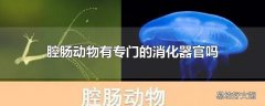 腔肠动物有专门的消化器官吗