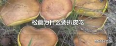 松蘑为什么要扒皮吃