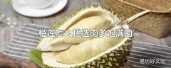 榴莲怎么挑选肉多饱满的