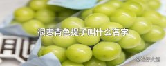 很贵青色提子叫什么名字