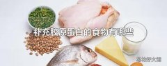 补充胶原蛋白的食物有哪些