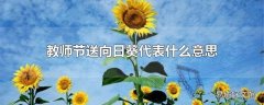 教师节送向日葵代表什么意思