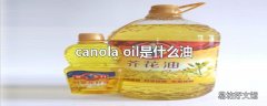 canola oil是什么油