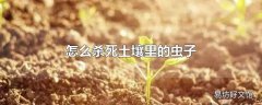 怎么杀死土壤里的虫子