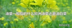 油菜一般指的什么欧洲油菜还是油白菜