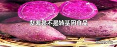 紫薯是不是转基因食品