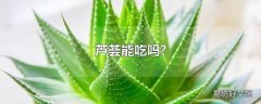 芦荟能吃吗?