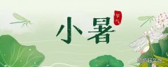 小暑应该注意什么