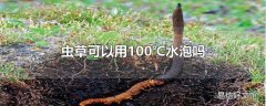 虫草可以用100℃水泡吗